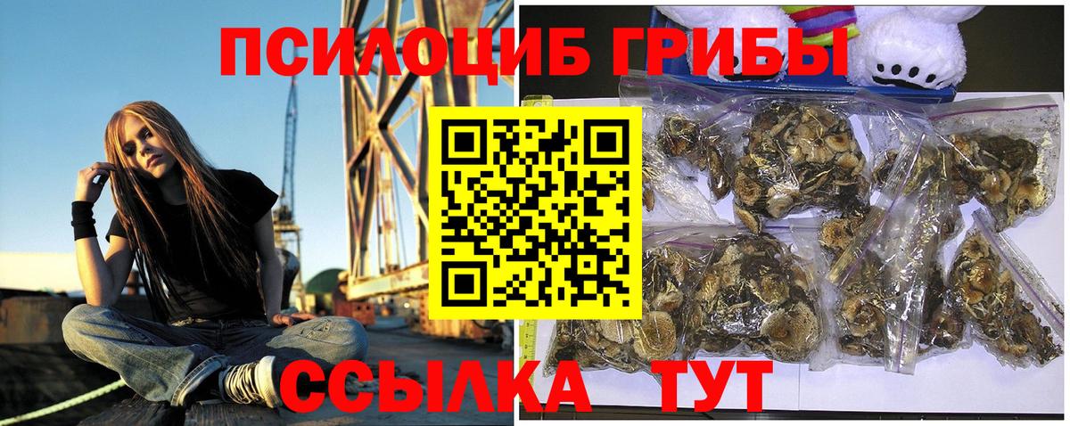 Галлюциногенные грибы прущие грибы Долгопрудный