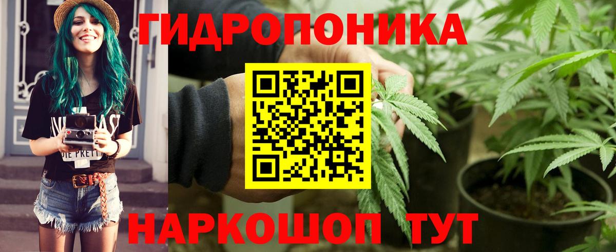 Каннабис MAZAR  Вход с VPN  Конопля семена  Долгопрудный  Бошки марихуана VHQ 